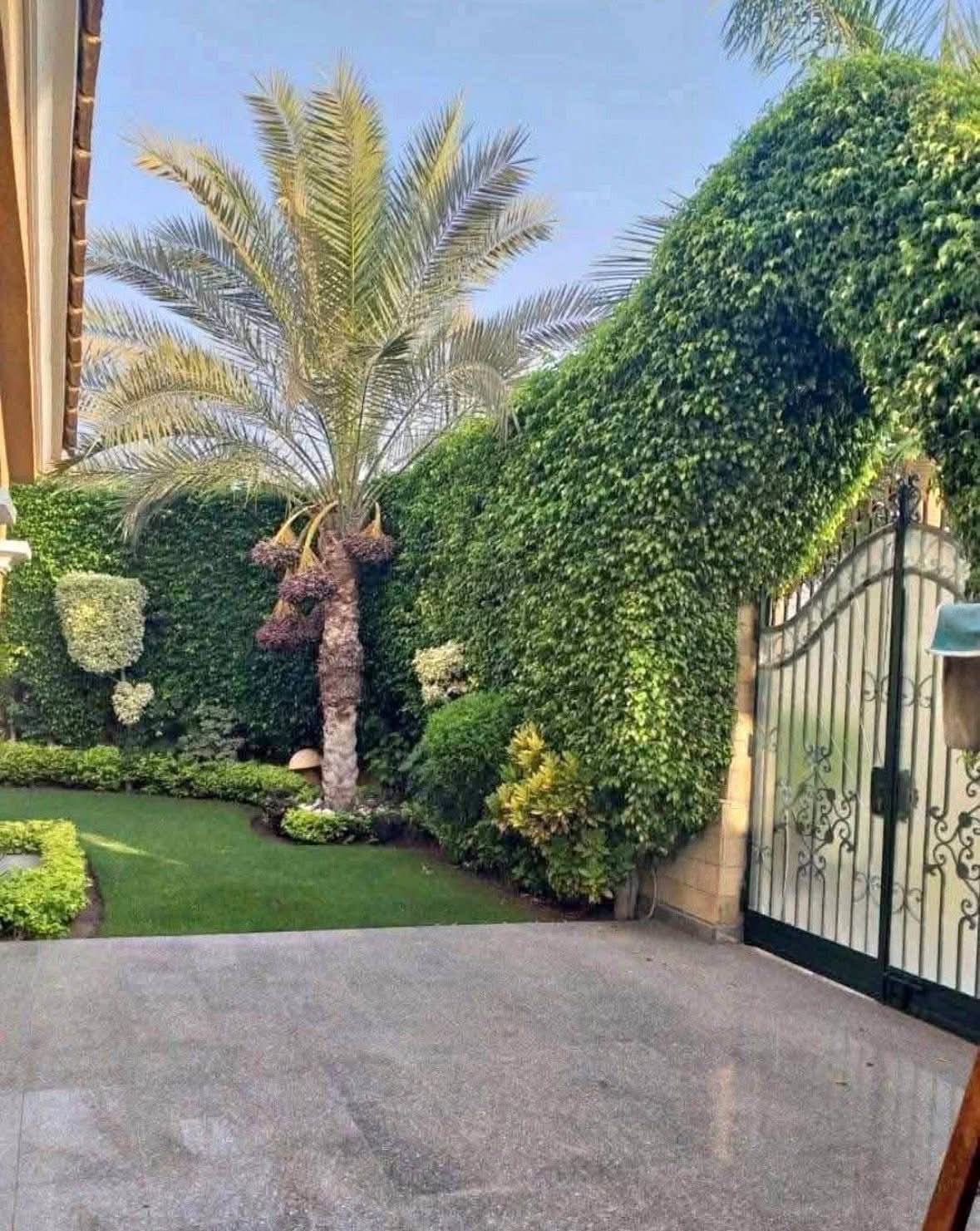 عندى فيلا هبيعها سعر  القديم ( بسعر شقة )